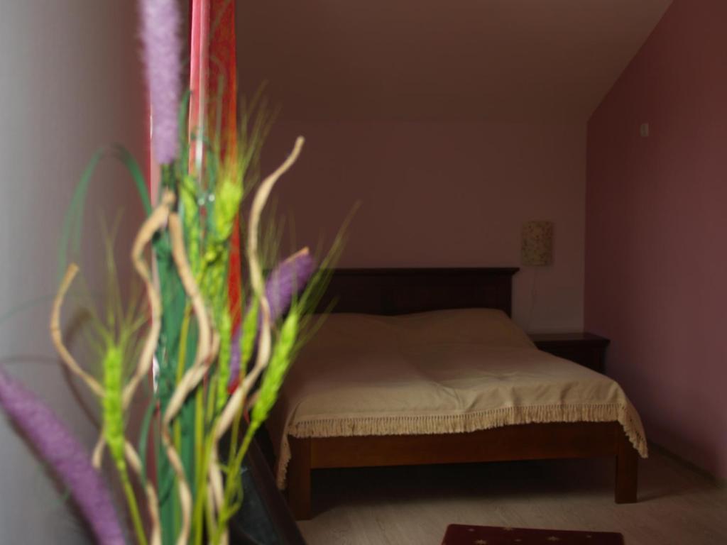 Veche Maison d'hôtes 3*