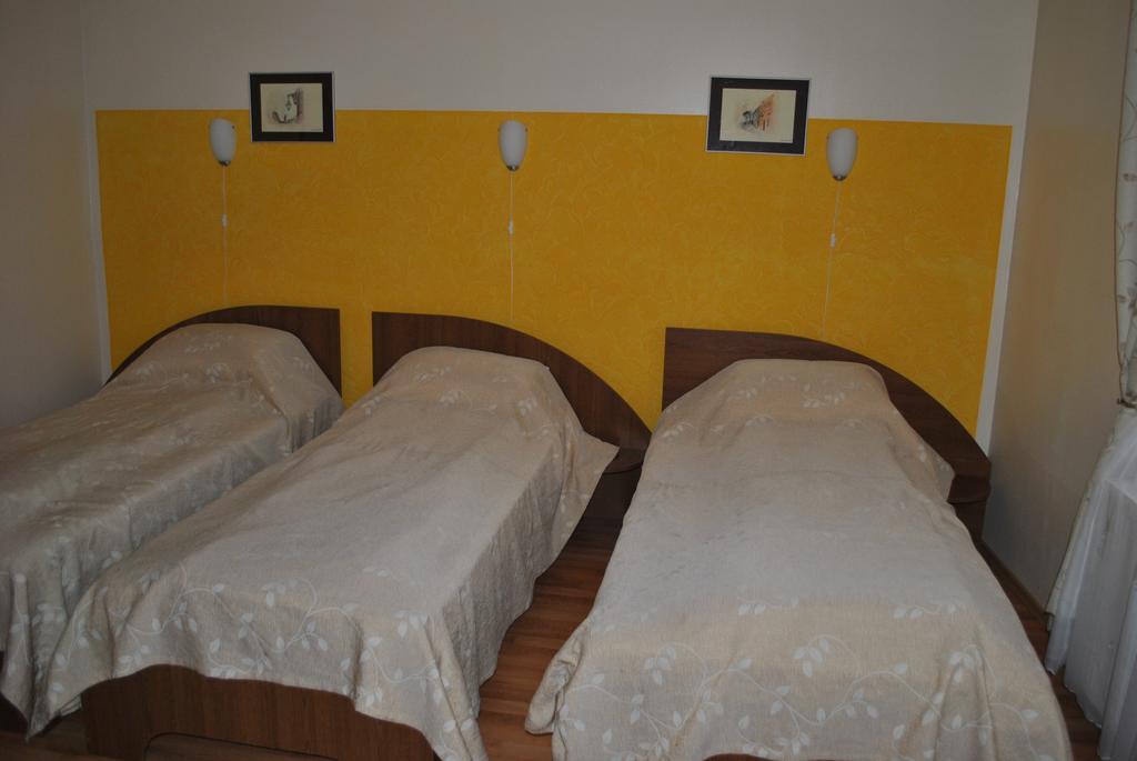 Veche Maison d'hôtes Haţeg